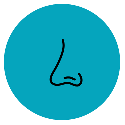 Sensorii's nose shop all, nose icon - blue circle with black outline of a nose